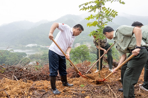 谢桂坤与大家植树.jpg 谢桂坤与大家植树.jpg